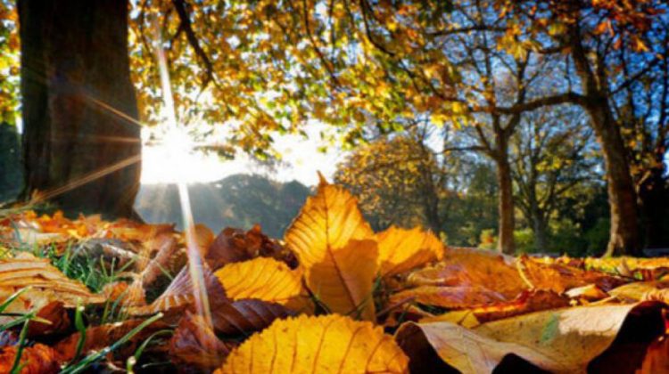 Cer variabil și fără ploi: temperaturi între 3°C și 13°C