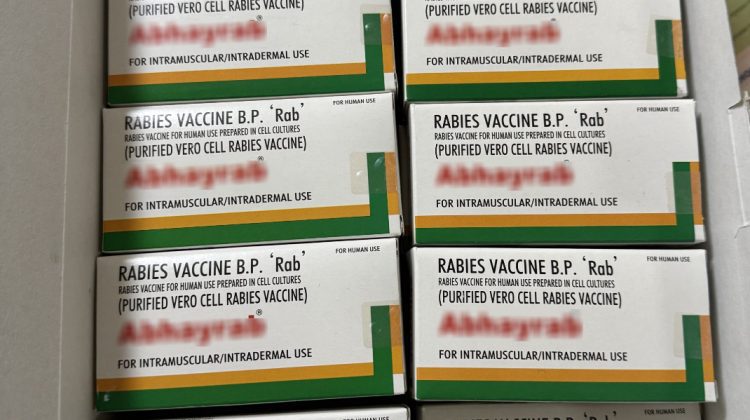 Moldova a primit un nou lot de vaccin antirabic! Peste 380 de mii de lei, alocați de CNAM