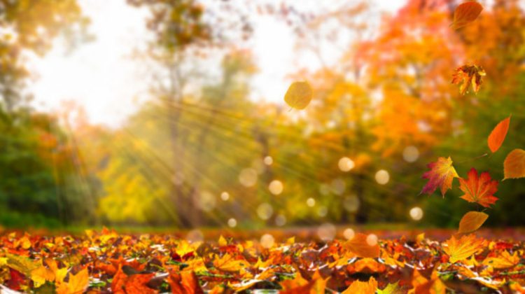 Ploi slabe și temperaturi plăcute în întreaga țară în acest weekend