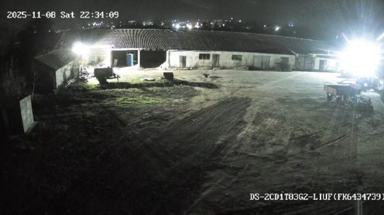 VIDEO Bujorean publică imagini cu momentul în care se aud focuri de armă lângă casa sa. Poliția a deschis o anchetă