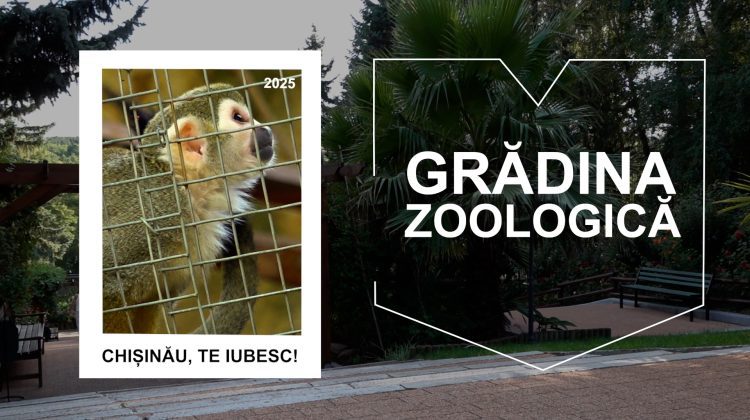 Grădina Zoologică din Chișinău – locul perfect pentru a petrece timpul cu familia