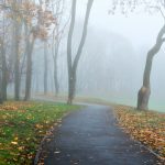 Vreme mohorâtă în toată țara: Cum va fi vremea sâmbătă în Moldova