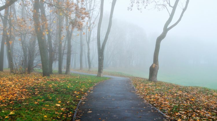 Vreme mohorâtă în toată țara: Cum va fi vremea sâmbătă în Moldova