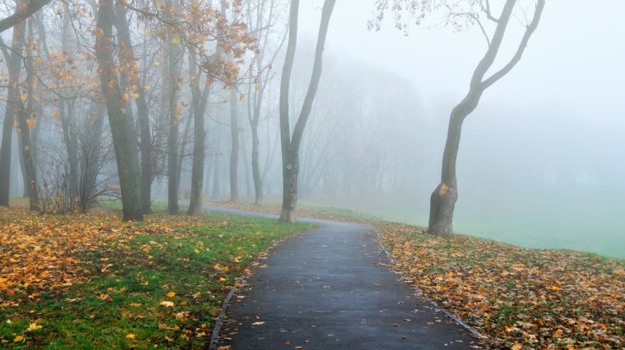 Vreme mohorâtă în toată țara: Cum va fi vremea sâmbătă în Moldova