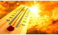 Organizația Meteorologică Mondială: Temperaturi record în ultimii trei ani. Care sunt efectele