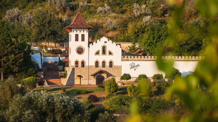 Undă verde pentru preluarea Purcari de către Maspex, care a obţinut peste 71% din acțiunile companiei din Moldova