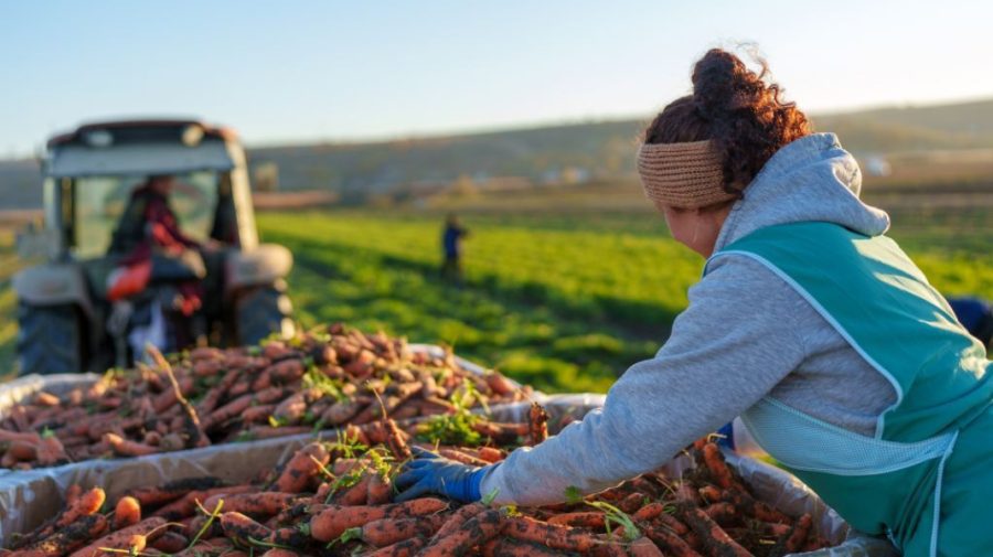 UE investește 3 milioane € pentru digitalizarea agriculturii și sprijinirea angajării în mediul rural