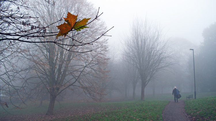 Cod galben de ceață în toată țara: vreme posomorâtă, dar fără precipitații