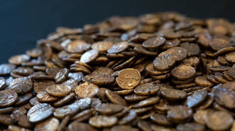 Un francez s-a îmbogăţit peste noapte după ce a săpat o piscină în grădină. Cât valorează comoara pe care a găsit-o