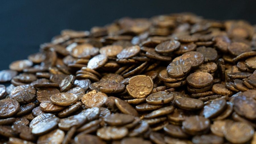 Un francez s-a îmbogăţit peste noapte după ce a săpat o piscină în grădină. Cât valorează comoara pe care a găsit-o