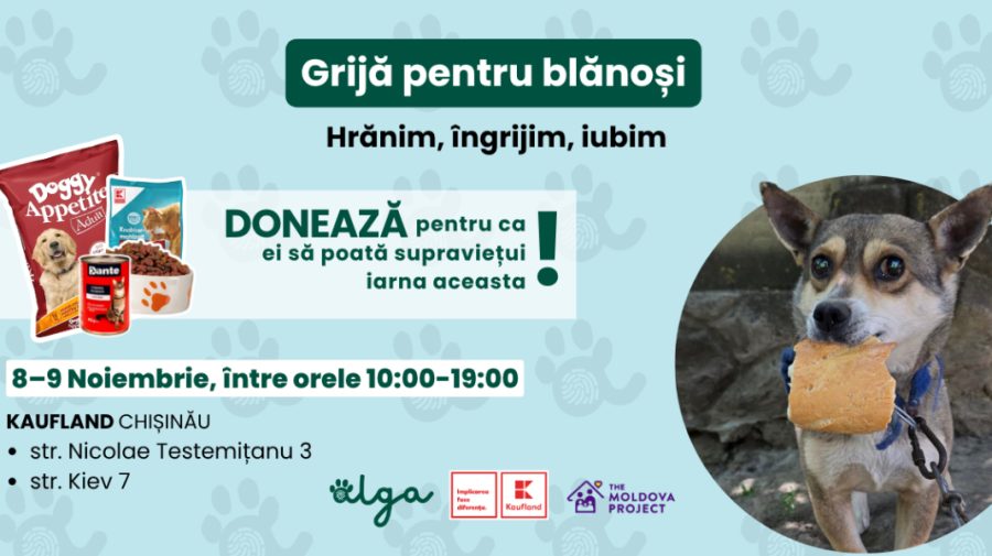 Grijă pentru blănoși: donează hrană pentru animalele familiilor social-vulnerabile