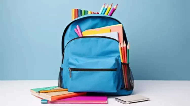 Pe aceeași greblă! MEC respinge ca ilegală „Legea Educației” adoptată în Găgăuzia: Contravine legislației naționale