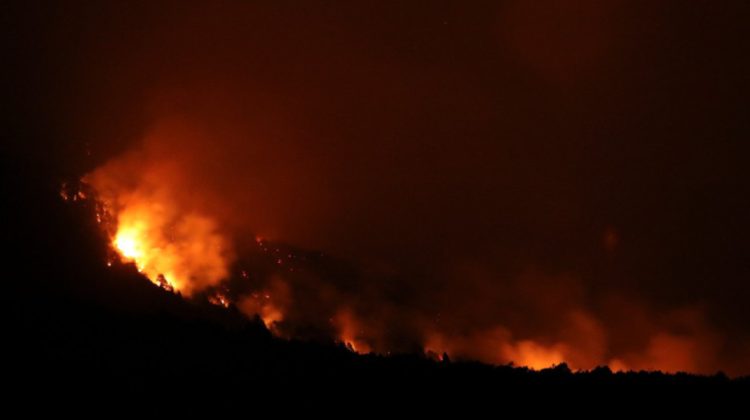 VIDEO Explozie uriașă într-un parc industrial la Buenos Aires: 22 de persoane au ajuns la spital