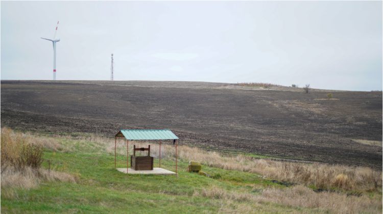 FOTO Pregătirile pentru campania de împădurire „Toamna 2025” sunt pe ultima sută de metri