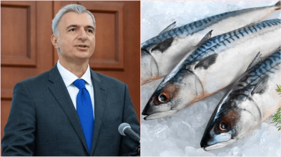 VIDEO Ministrul Economiei explică ce s-a întâmplat cu prețul la macrou. Urmează și alte scumpiri?